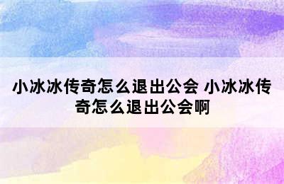 小冰冰传奇怎么退出公会 小冰冰传奇怎么退出公会啊